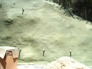 I TAMBIEN CON COLORANTE VERDE