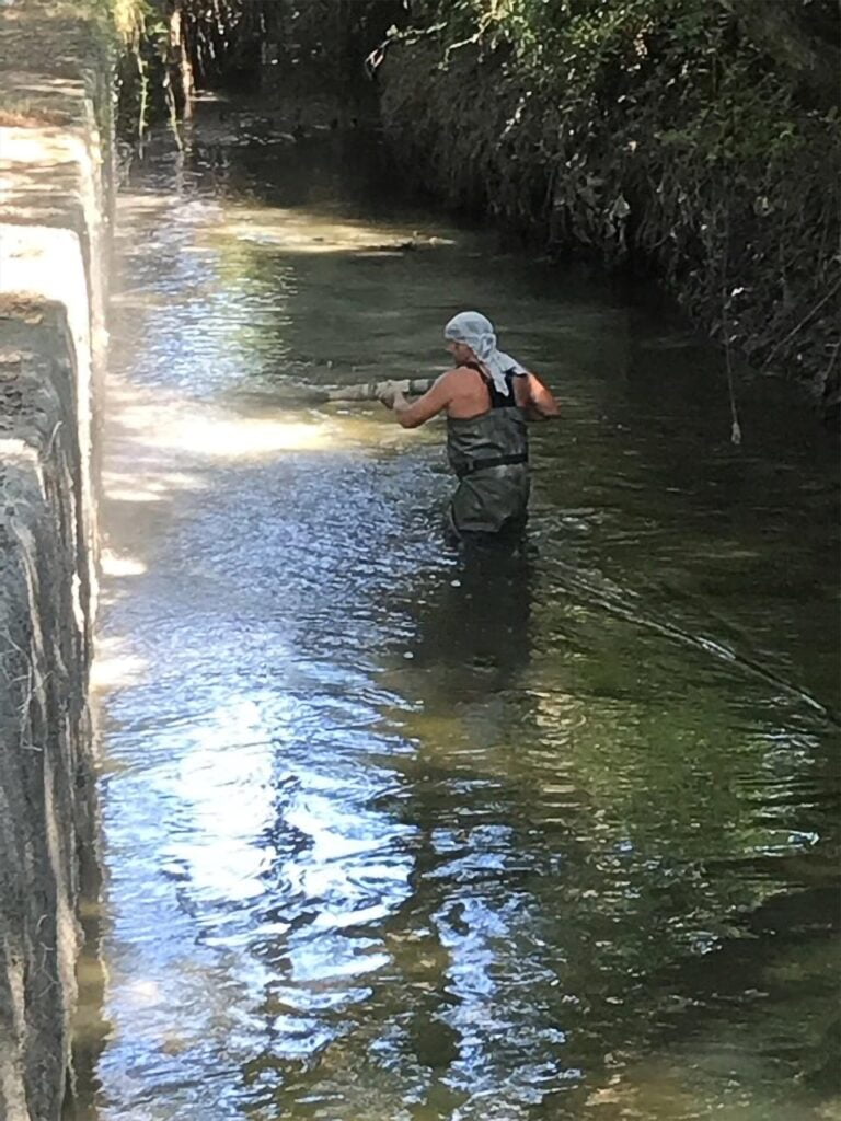 Proceso gunitado en rio